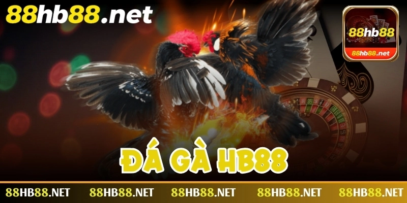 da-ga-hb88-anh-dai-dien